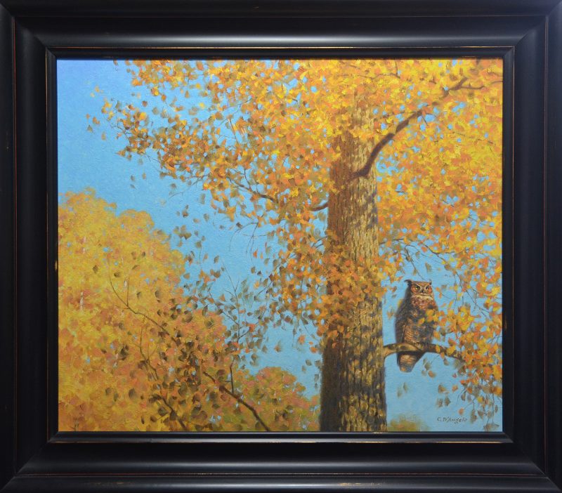 Claudio D'Angelo Great Horned Owl In An Aspen tree wildlife oil painting autumn fall leaves framed
