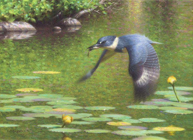 Claudio D'Angelo Kingfisher bird hunt hunter hunting stream river brook lily pads flying bird wildlife oil painting