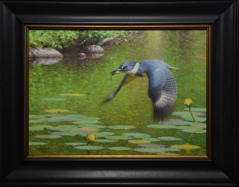 Claudio D'Angelo Kingfisher bird hunt hunter hunting stream river brook lily pads flying bird wildlife oil painting framed
