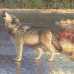 Claudio D'Angelo The Boreal Anthem wolf howl howling frozen lake wildlife oil painting landscape