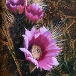 John Cox Desert Floral cactus flower cacti desert oil painting sold