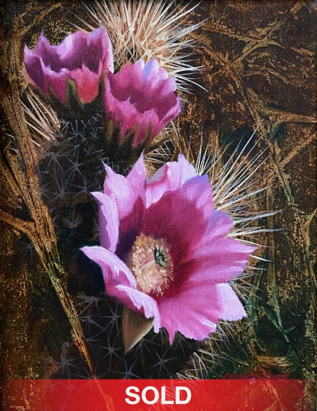 John Cox Desert Floral cactus flower cacti desert oil painting sold