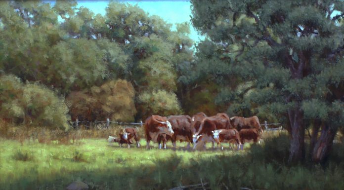 John Cox A Summer Day cows ranch farm Texas western oil painting