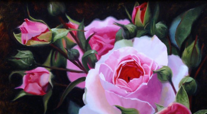 John Cox Garden Roses floral flowers still life oil painting