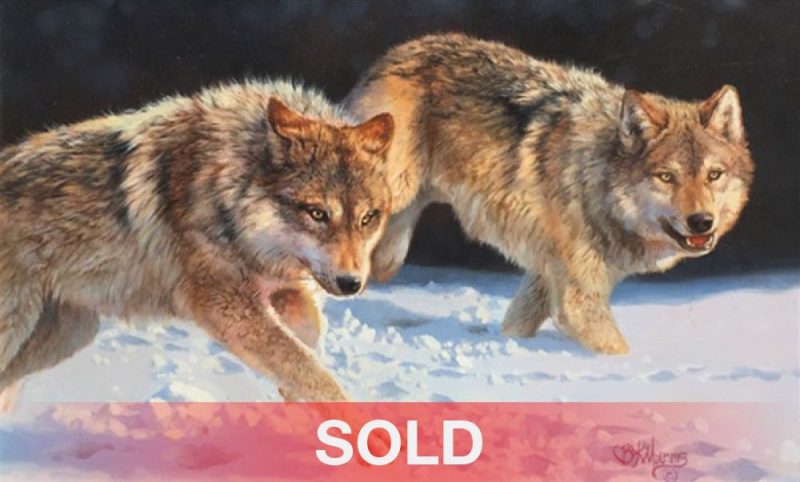 Bonnie Marris The Chase wolves snow running hunting prowl original wildlife oil painting