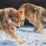 Bonnie Marris The Chase wolves snow running hunting prowl original wildlife oil painting