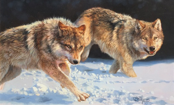 Bonnie Marris The Chase wolves snow running hunting prowl original wildlife oil painting
