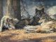Bonnie Marris Three Wolves wildlife oil painting