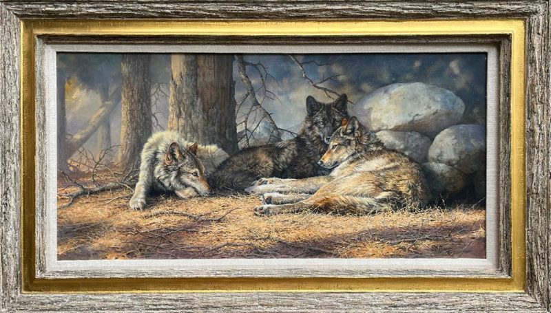 Bonnie Marris Three Wolves wildlife oil painting framed