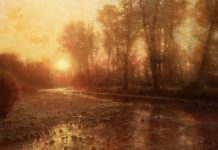 Brent Cotton Solitude of the River western landscape fish fly fishing oil painting stream river sunrise