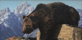 Adam Smith The Bear Climbed Over The Mountain grizzly wildlife acrylic painting