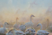Andrew Peters Pleistocene Messengers geese gaggle pond lake wildlife oil painting