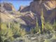 Matt Smith Bulldog Canyon Arizona desert wash cacti cactus saguaro mountains desert landscape oil painting