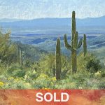 Matt Smith Early Morning On The Tonto saguaro cacti cactus desert oil landscape painting sold