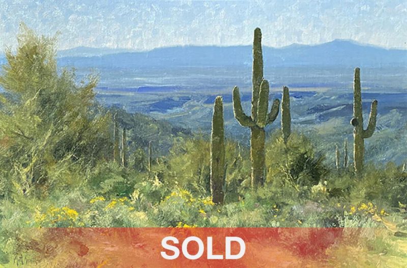 Matt Smith Early Morning On The Tonto saguaro cacti cactus desert oil landscape painting sold