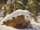 Matt Smith First Snow rock mountain snow trees wilderness landscape oil painting