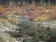 Matt Smith North Fork Creek stream river babbling brook western landscape painting