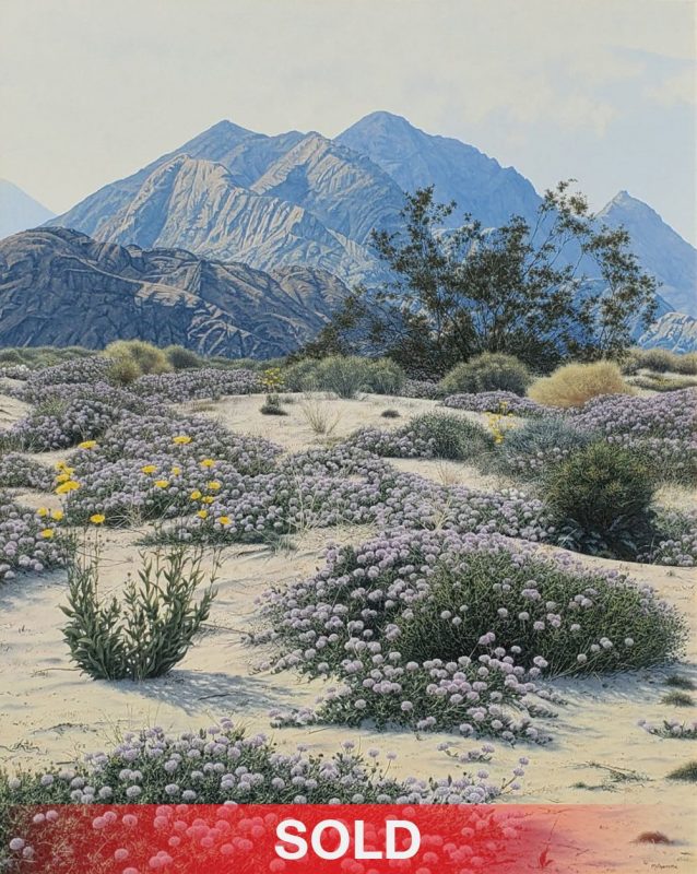 Dennis Milhomme Desert Celebration desert cactus cacti mountain western landscape oil painting sold