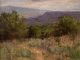 Anita Louise West Mesa Morning high mountain landscape oil painting