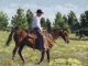 Jim Connelly Ken cowboy horse saddle western landscape oil painting