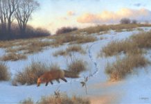 Claudio D'Angelo The Evening Rounds red fox wildlife oil painting snow sunset