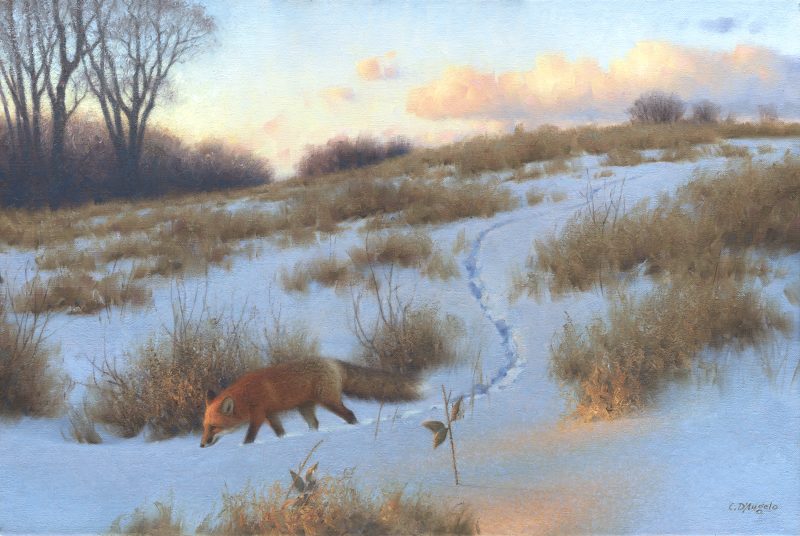 Claudio D'Angelo The Evening Rounds red fox wildlife oil painting snow sunset