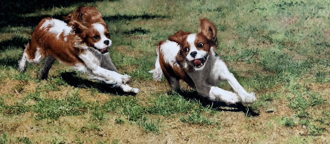 Sueellen Ross Off Leash running dogs spaniel action painting