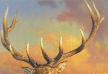 Jie Wei Zhou Catching The Last Light Of The Day elk bust wildlife oil painting