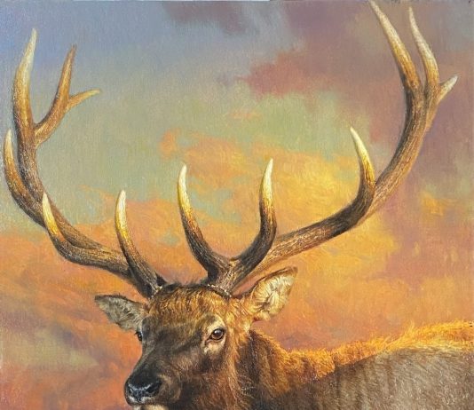 Jie Wei Zhou Catching The Last Light Of The Day elk bust wildlife oil painting