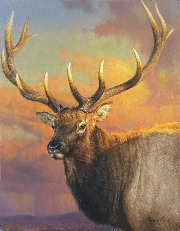 Jie Wei Zhou Catching The Last Light Of The Day elk bust wildlife oil painting