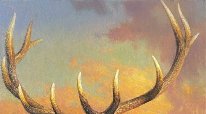 Jie Wei Zhou Catching The Last Light Of The Day elk bust wildlife oil painting