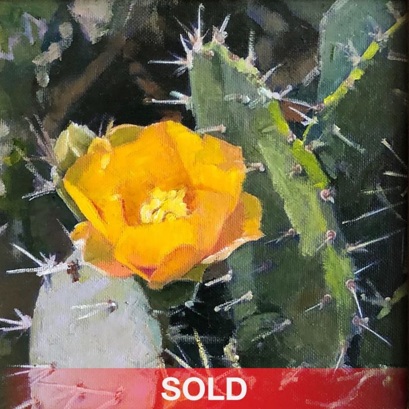 Tom Dorr Cactus Blossom desert prickly pear saguaro western landscape oil painting