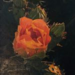 Tom Dorr Cactus Flower desert still life floral oil painting sold