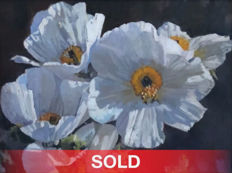Tom Dorr Floral Explosion flower desert still-life oil painting sold