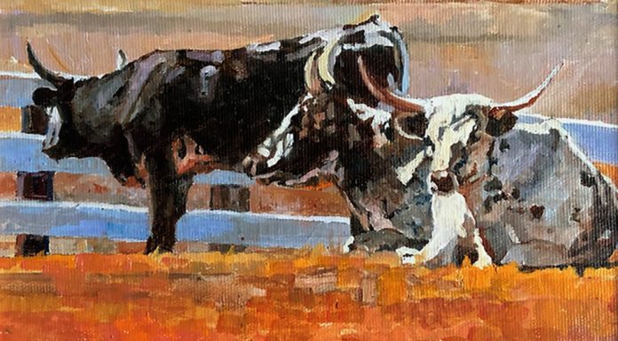 Tom Dorr Resting longhorn bull cattle farm ranch western oil painting