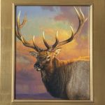 Jie Wei Zhou Catching The Last Light Of The Day elk bust wildlife oil painting framed