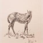 Bill Owen horse pencil western drawing