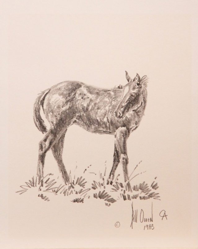 Bill Owen horse pencil western drawing