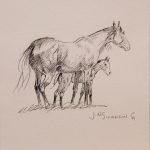 J.N. Jack Swanson horses western pencil drawing