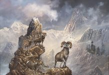 Ted Blaylock High Country Bachelors big horse sheep ram rugged mountain landscape wildlife oil painting