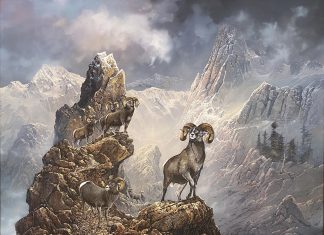 Ted Blaylock High Country Bachelors big horse sheep ram rugged mountain landscape wildlife oil painting