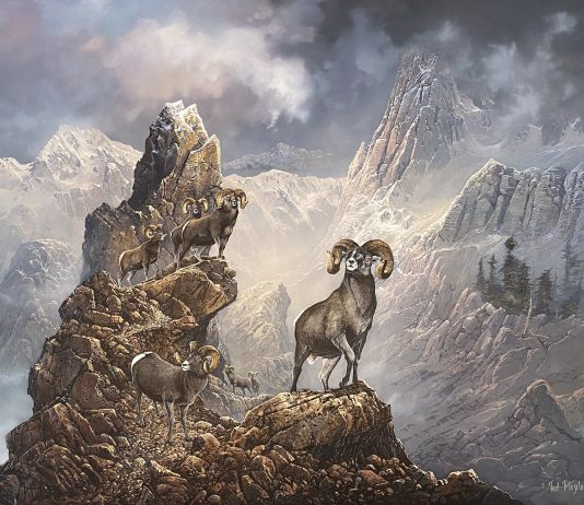 Ted Blaylock High Country Bachelors big horse sheep ram rugged mountain landscape wildlife oil painting