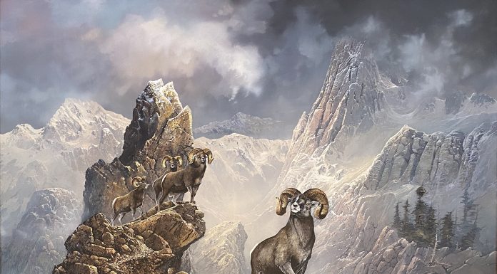 Ted Blaylock High Country Bachelors big horse sheep ram rugged mountain landscape wildlife oil painting