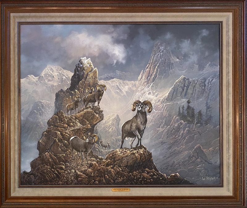 Ted Blaylock High Country Bachelors big horse sheep ram rugged mountain landscape wildlife oil painting framed
