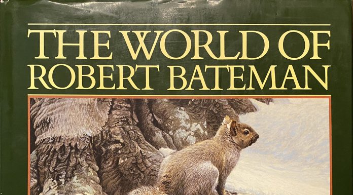 Robert Bateman The World of Robert Bateman book wildlife oil painting book