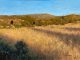 R.A. Heichberger Elk Camp tipi tee pee Native American Indian landscape oil painting