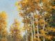 R.A. Dick Heichberger Shady Side Cottonwood Aspen trees Northern Arizona landscape oil painting