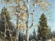 R.A. Dick Heichberger Winter Sun aspen trees snow stream river brook western oil landscape painting