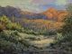 “Ember Glow Sundown” Darcie Peet Darcie Peet Ember Glow Sundown saguaro cacti cactus mountain dry stream river wash western landscape oil painting