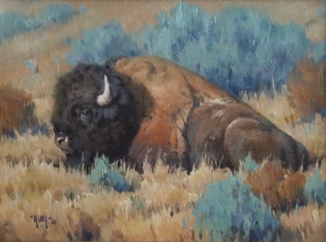 Keith Huey Bison Repose buffalo wildlife oil painting wilderness forest